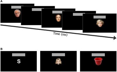 Performance Analysis With Different Types of Visual Stimuli in a BCI-Based Speller Under an RSVP Paradigm